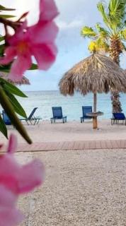 HARMONY Hotel Hostel Aruba - Oranjestad - 6