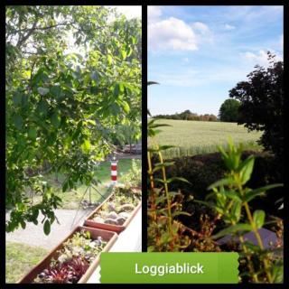 Ferienwohnung "Haus 25" - Zum Golfplatz Tecklenburger Land - 5