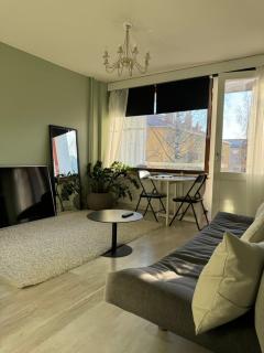 Kauniit yksiöt, 600m keskustaan, ilm parkit - Oulu - 1