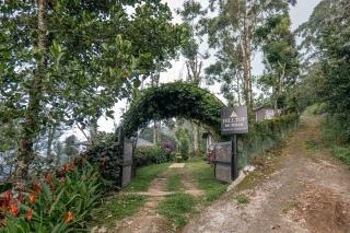 Hilltop Munnar by Fracspace - Munnar - 9