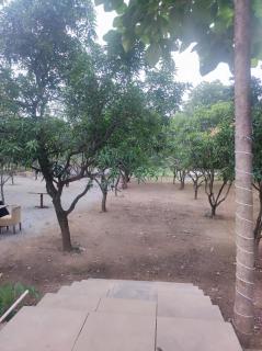 Mango Farm Resort - 9