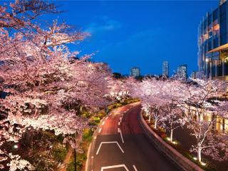MIMARU Tokyo Akasaka - Tokio - 5