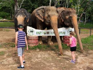 Snooze Inn Phuket - Free Shuttle to Bang Rong Pier - 4