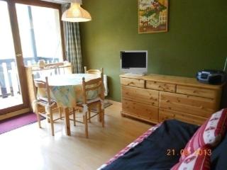 Studio cabine coquet 3 couchages au pied des pistes d'Auris en Oisans - FR-1-297-24 - 3