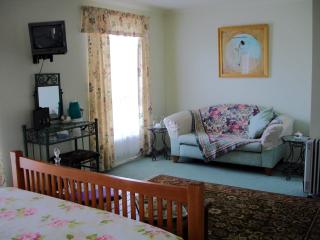 The Linear Way Bed and Breakfast - McLaren Vale - 3