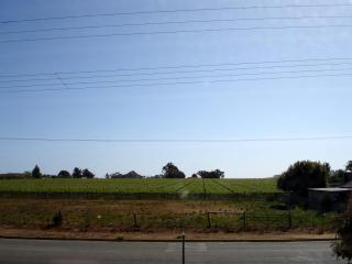 The Linear Way Bed and Breakfast - 1