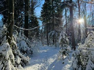 Ворота Карпат - 4