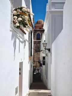 Estudio centro con Jardín compartido - Tarifa - 5