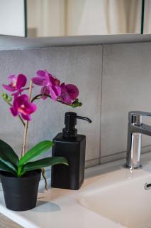 Suite Botticelli 24 - Milan - 6