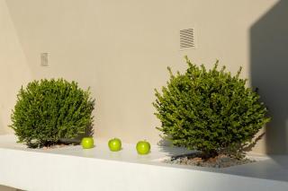 Ionian White Villa - Agios Nikitas - 2