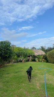 Happy Farm Home stay Khaoyai - Ban Nong Khwang - 5