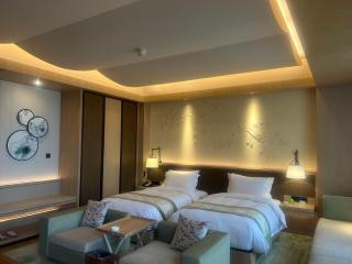 Swissotel Xi' an Xinxing Hot Spring - Xi'an - 9