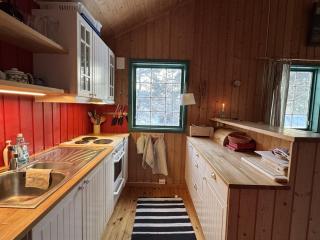Cozy cabin in Geilo - Geilo - 3