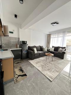 The comfort 1 bedroom- Kileleshwa - Nairobi - 9