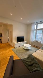 Elegant and cozy apartment - 2