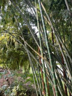 Apartamento Entero 102 - 3