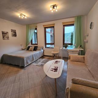 Green life Ski & Spa Studio - Bansko - 0