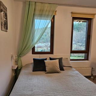 Green life Ski & Spa Studio - Bansko - 5