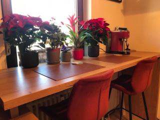 Gorgeous apartment in exhilarating mountainous surroundings - Bad Reichenhall - 4