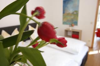 Landhaus Kauderer - Wohnung 1 - Waging am See - 3