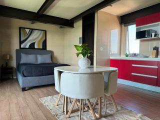 Luxury Rooftop SuiteB - Mexiko-Stadt - 1