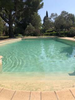 Gite en Provence dans grand jardin avec piscine partagée - Cornillon-Confoux - 8