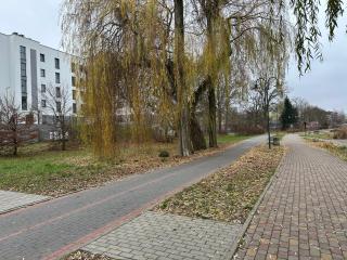 Apartament Kosciuszki 33f - 2