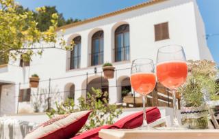 Villa Pranayama - Santa Gertrudis - 4