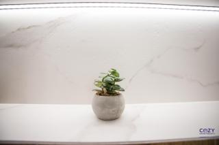 Cozy Aparthotel - Ultracentral Acommodation - Arad - 9