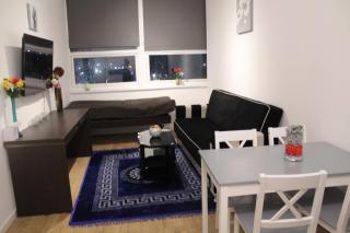 Flat 415 Beautiful One bed flat - 4