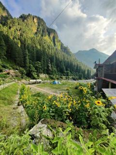 Flipsyde Retreat - Kasol - 0
