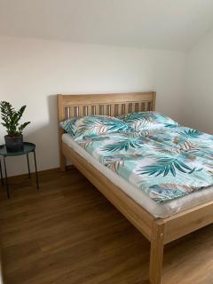 Apartmán Strachotín - Strachotín - 8