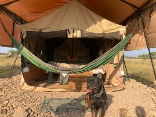 Infinity Camp Grounds Maanzoni Backpackers - Kenplains - 1