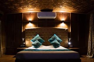 Goona residence - Srinagar - 3