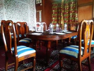 Goona residence - Srinagar - 2