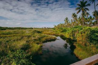 Reserva Imbassaí - Apartamento D01 01 Térreo - Bromélias - 5