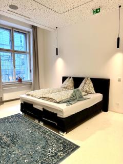 Central Vienna Apartment 140 m2 - 6