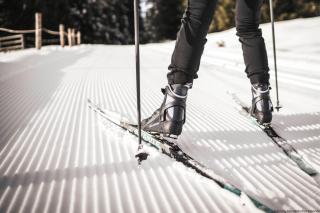 Großkarnaiderhof Ferienwohnungen-Bauernhof-Natur pur - 3