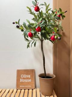 Busan Olive house Gwangalli Beach - Busan - 3
