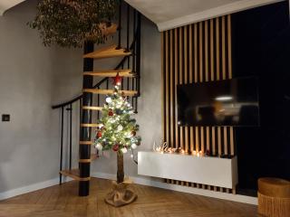 Apartament Willa Pod Sosnami Zator Przeciszów - 9