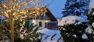 Apartament Willa Pod Sosnami Zator Przeciszów - 8