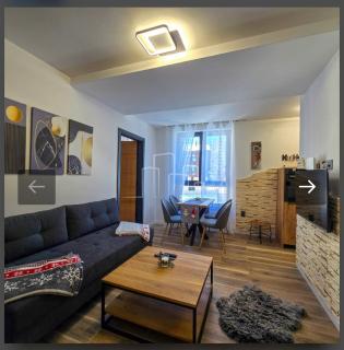 D&D Apartman Jahorina - Jahorina - 8