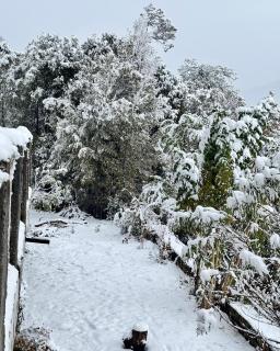 Basanti Rawat Homestay - 1