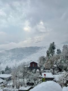 Basanti Rawat Homestay - 2