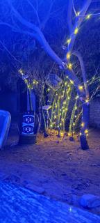 Veera's Hostel - Pushkar - 4