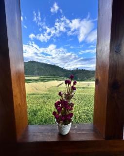 Divine heritage house - Punakha - 7