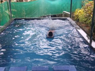 Kuttickattil Pool Home Stay Kumarakom - Kumarakom - 7
