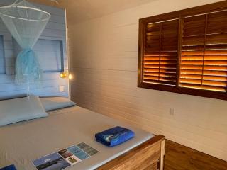 Dolphin Blue Paradise - 2