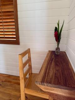 Dolphin Blue Paradise - 3