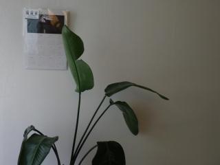 SuinHome - Seoul - 3